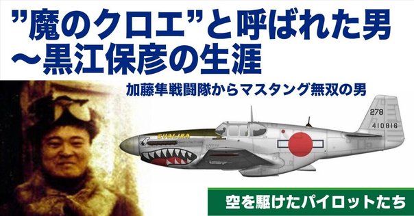 (未使用･未開封品)糸川英夫 私と戦闘機「隼」 太平洋戦争の陸軍戦闘機を検証する [DVD] Amazon.co.jp: 糸川英夫 私と戦闘機「隼」 太平洋戦争の陸軍戦闘