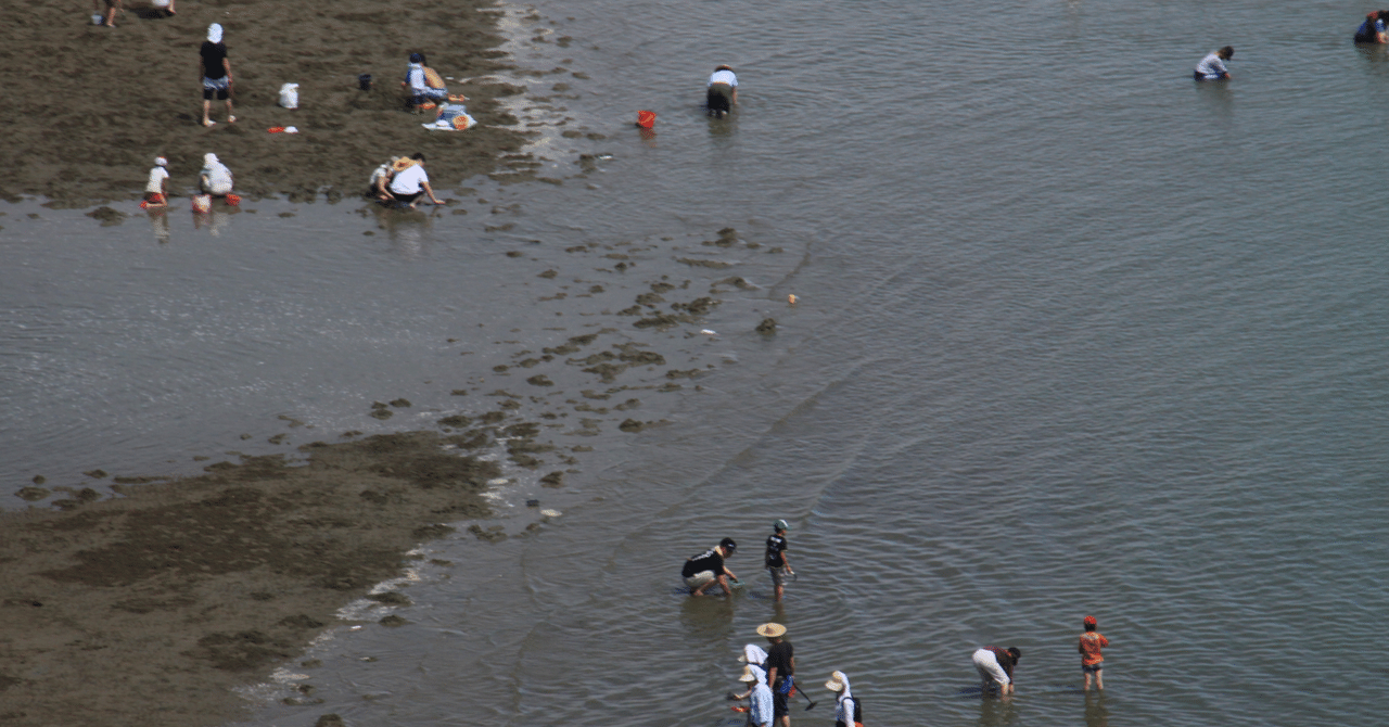 夢占い】潮干狩りの夢の意味とは？シチュエーション・行動別に徹底解説｜【夢占い師】 夢幻