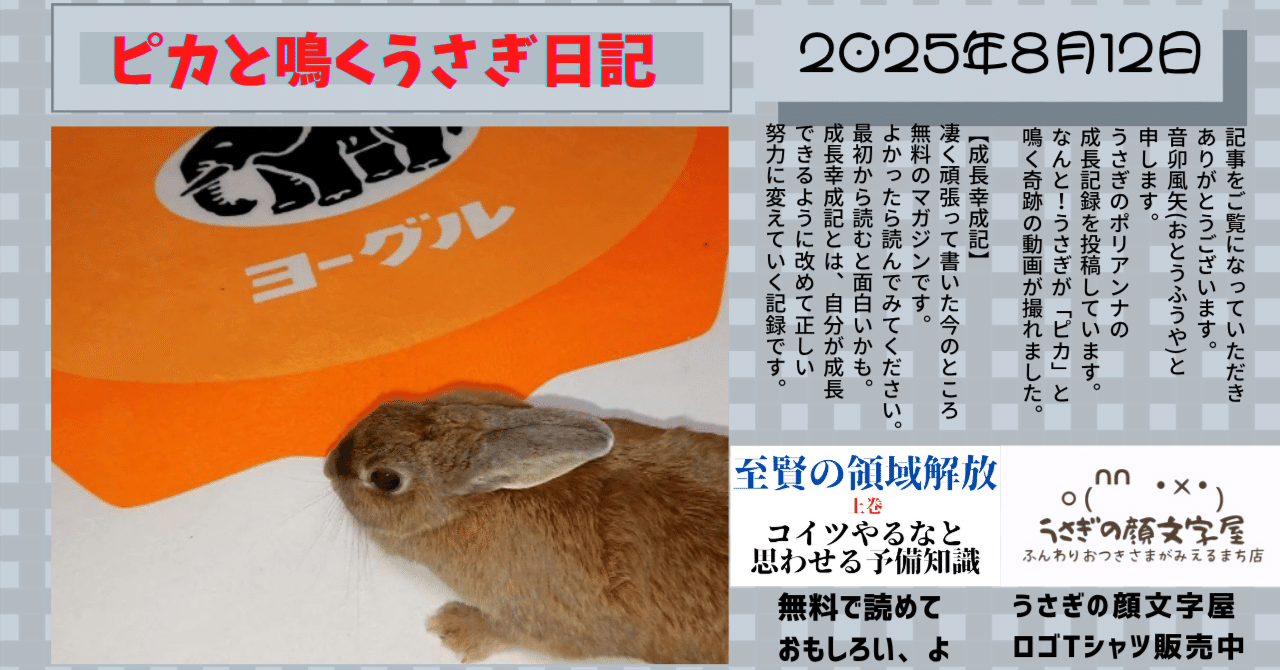 雪うさぎ様専用•*¨*•.¸︎ 雪うさぎ様専用 雪うさぎ様専用 ゆきうさぎ様専用❗️ ゆきうさぎ様