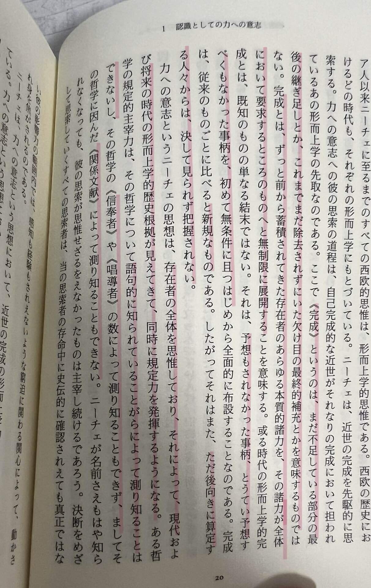 ハイデッガー全集『ニーチェ1 』 『ニーチェ,芸術としての力への意志』 ハイデッガー全集43 ニーチェ,芸術としての力への意志: 第43巻