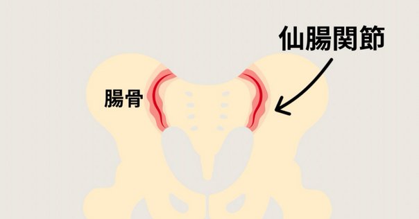 実技映像付】明日から使える仙腸関節の評価とアプローチ―誰もが