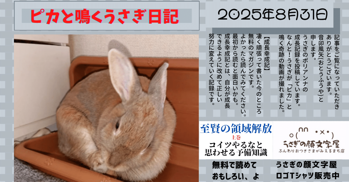 うさぎさん希望6点まとめ zowieな夜景が褒めすぎて限りなくアレな夜だったような日｜背