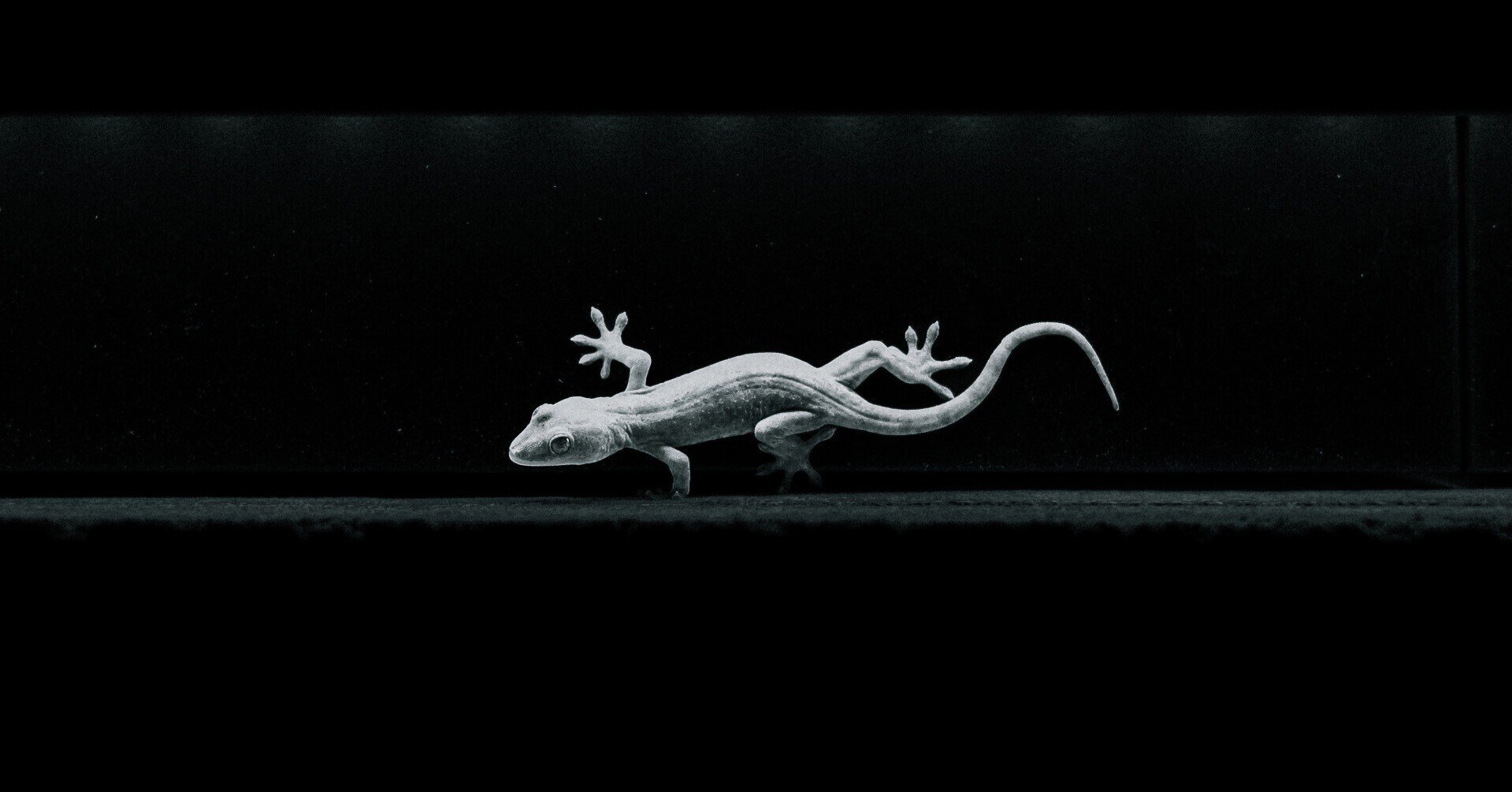 辻敦（書籍編集）｜note