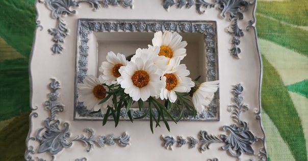 はちみつぱい 45th Anniversary ライヴ DVD はちみつぱい ~45th Anniversary ライヴDVD+ラストライヴ1988