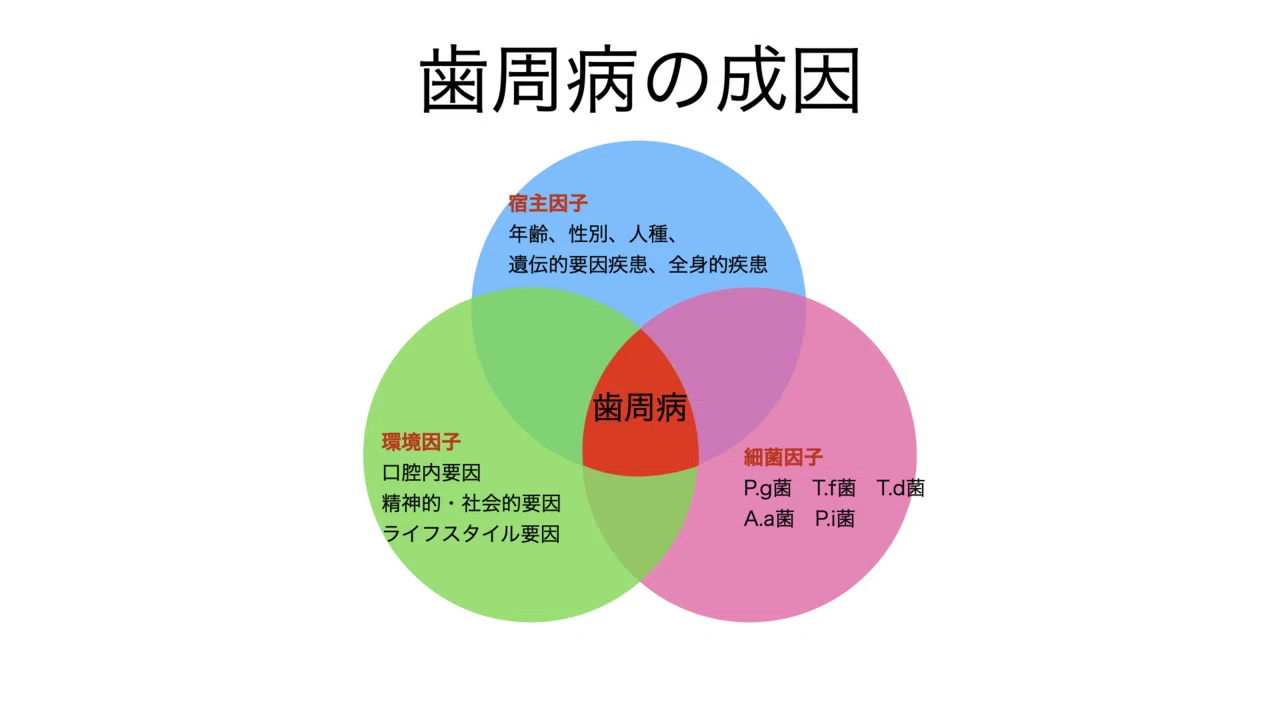 歯周病のリスクファクターについて｜浦和の歯医者さん たぼ歯科医院