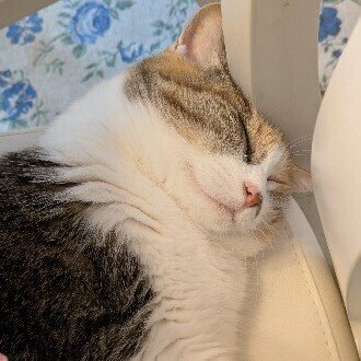 Magical Sound Shower🚗🌴