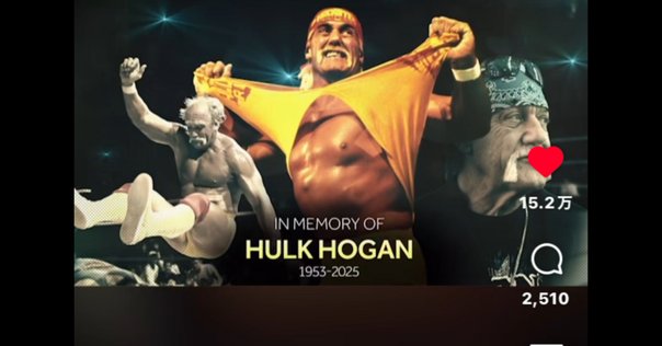 WWF ハルクホーガン　超美品　ハズブロ　WWE プロレス NWO ハリウッド・ハルク・ホーガン WWE Superstars 限定