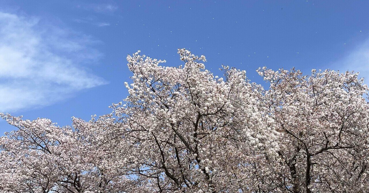 歌仙】名残裏5(花の定座🌸)治定 ＆挙句募集！ ｜カンナ｜をかし
