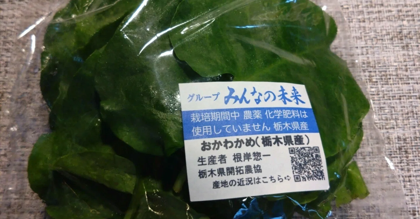 野菜の紹介…おかわかめ(雲南百薬)|ひねもすのたり 野菜の紹介…おかわかめ(雲南百薬)|ひねもすのたり