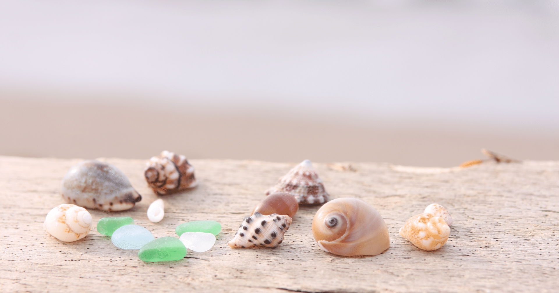 コレクション｜葉七🫧𝚑𝚊𝚗𝚊