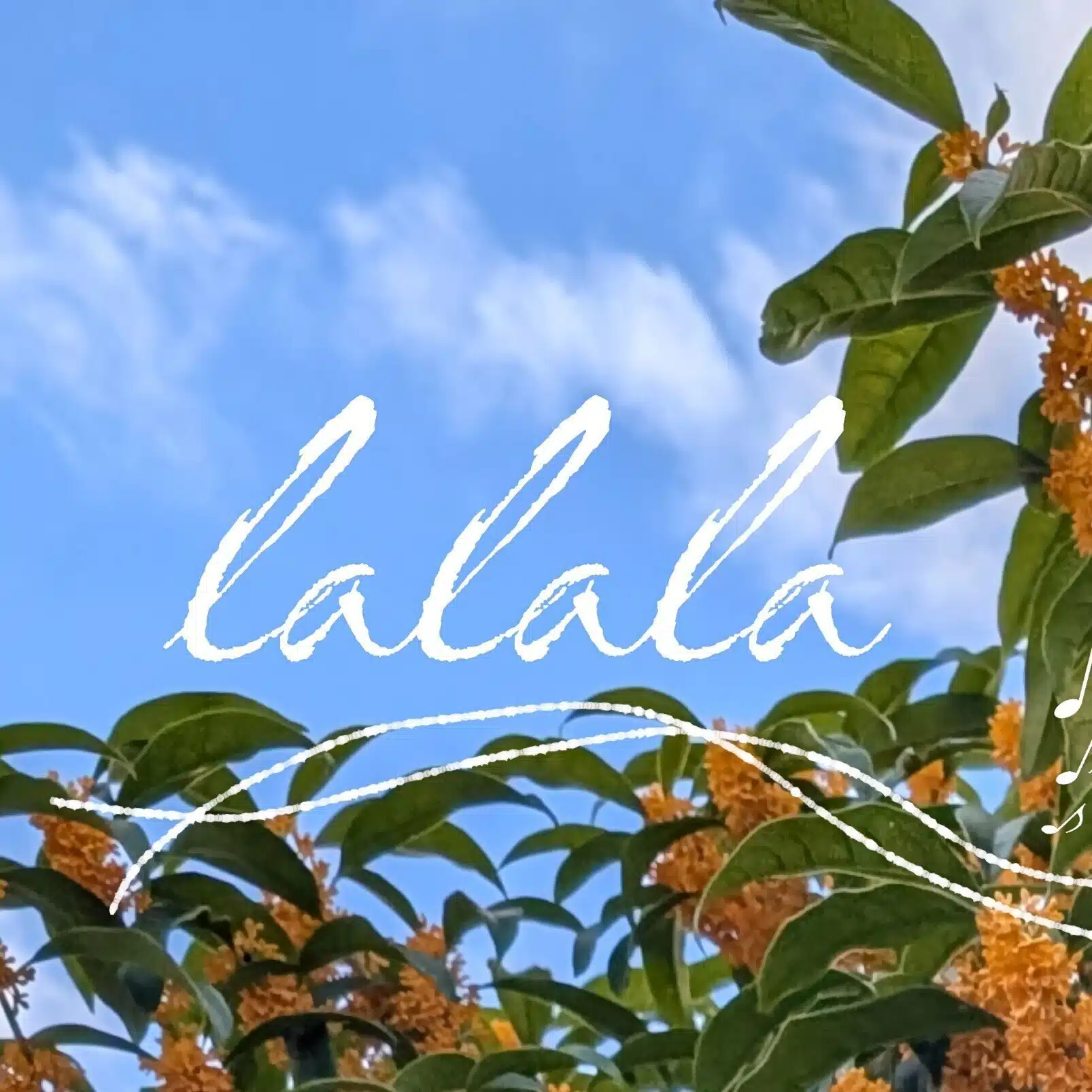 lalalaソーダ