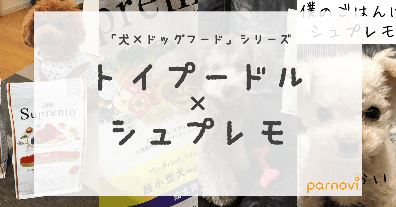 スクリーンショット_2020-03-09_16.56.33