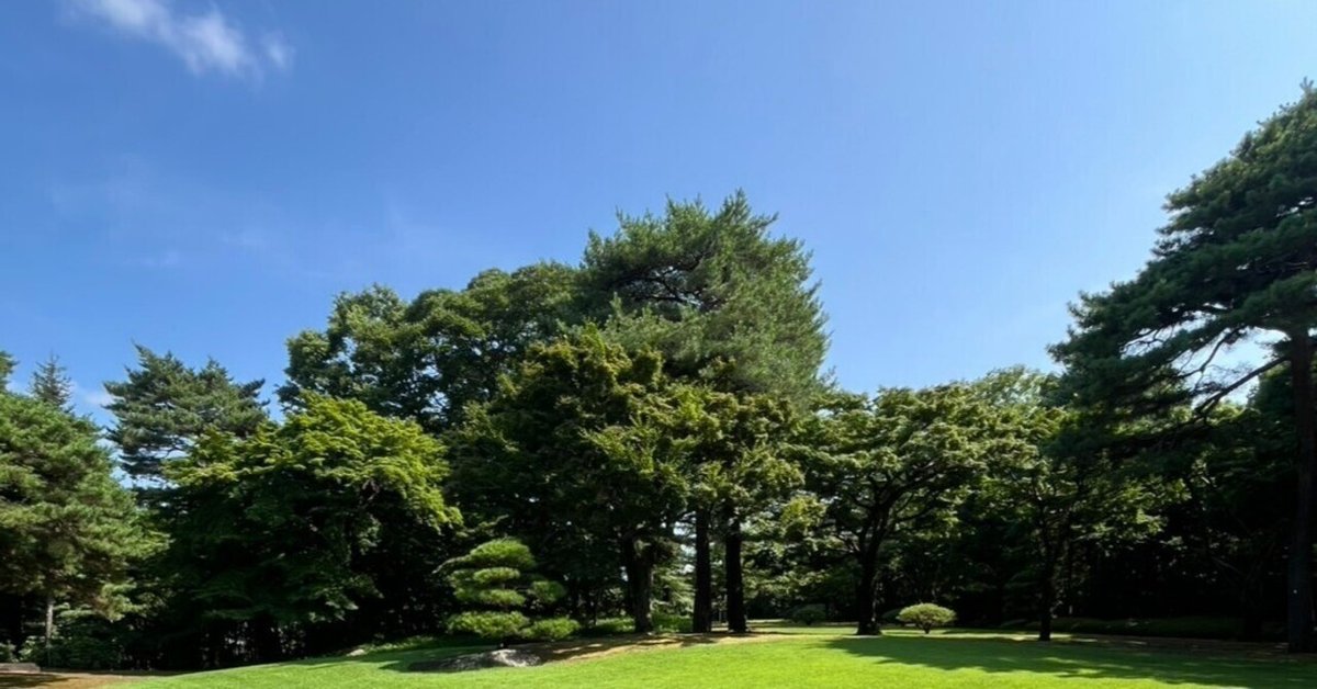 【匿名配送】私の医学部合格作戦 多浪仮面浪人再受験編 2015 part2 私の医学部合格作戦 Part2 多浪仮面浪人再受験編 2015年版 (YELL