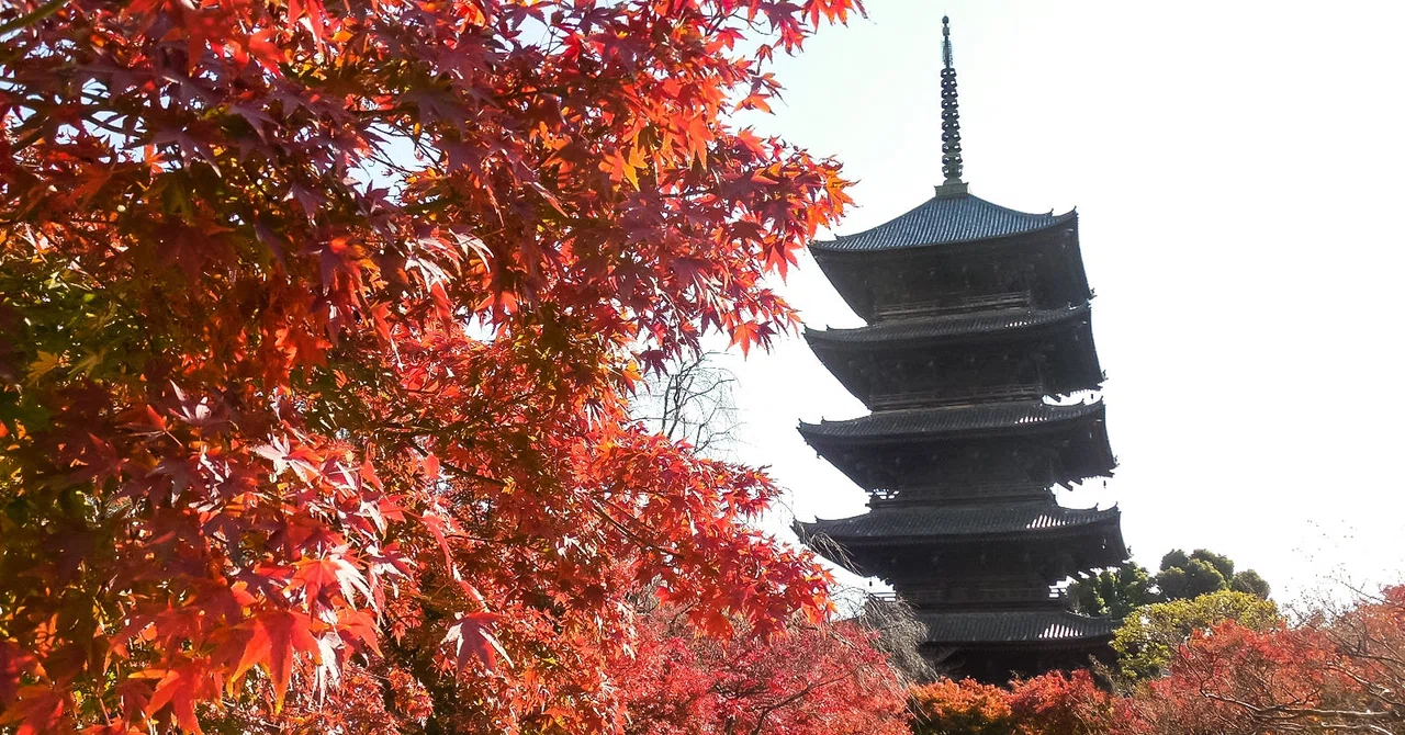 新幹線を降りてまず見える、あの五重塔──東寺という存在|ラズベリー@マイペース暮らし