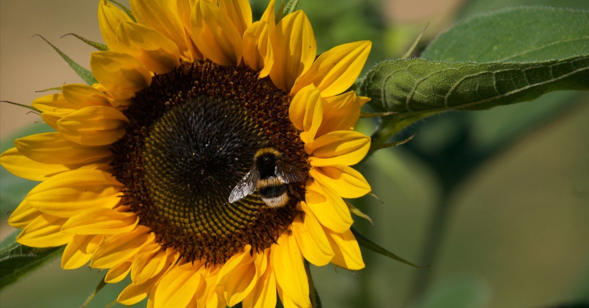 9df02012ea84c05e78f236a523ad37