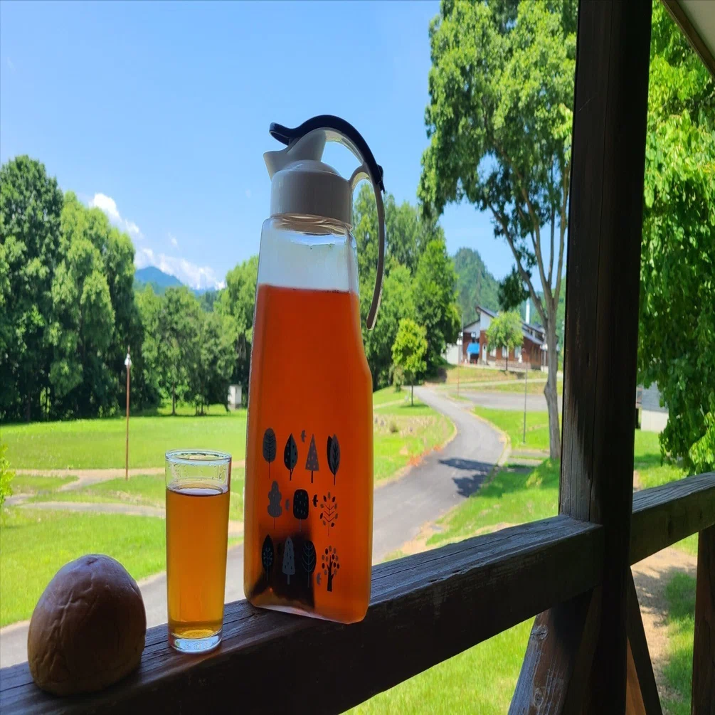 山形県 灯火採集 〜コテージ泊旅〜｜キヨタミ