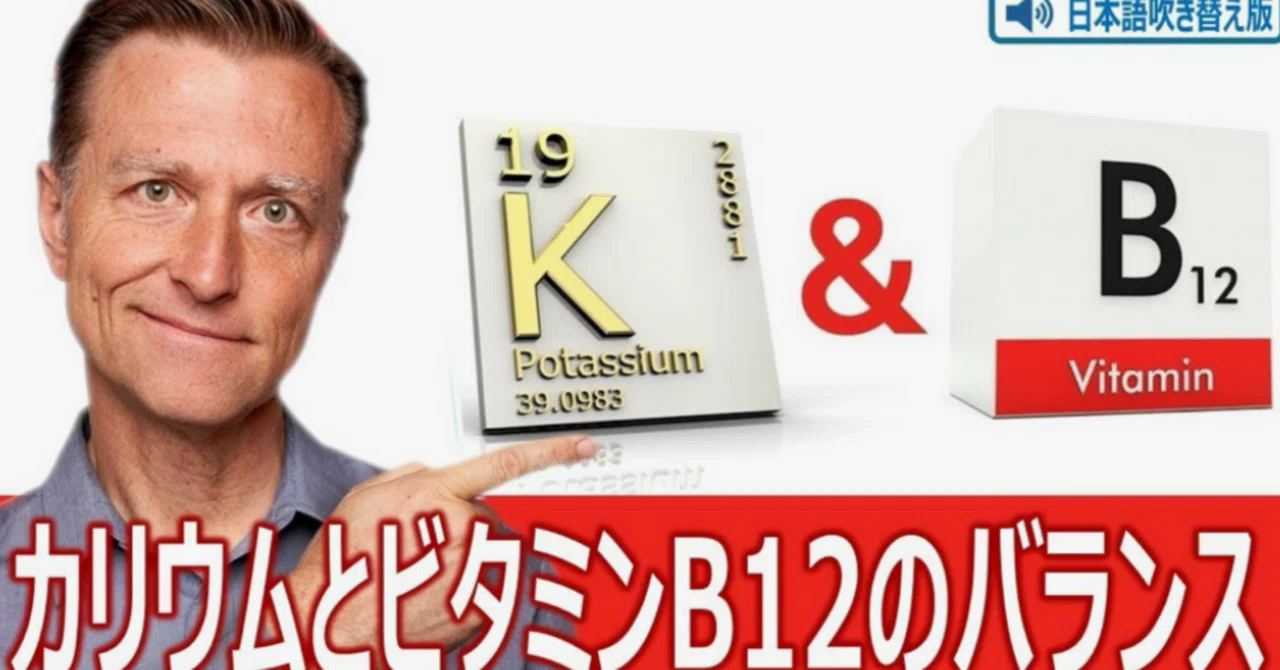 最新｜カリウムとビタミンB12のバランス｜ドクター・バーグ