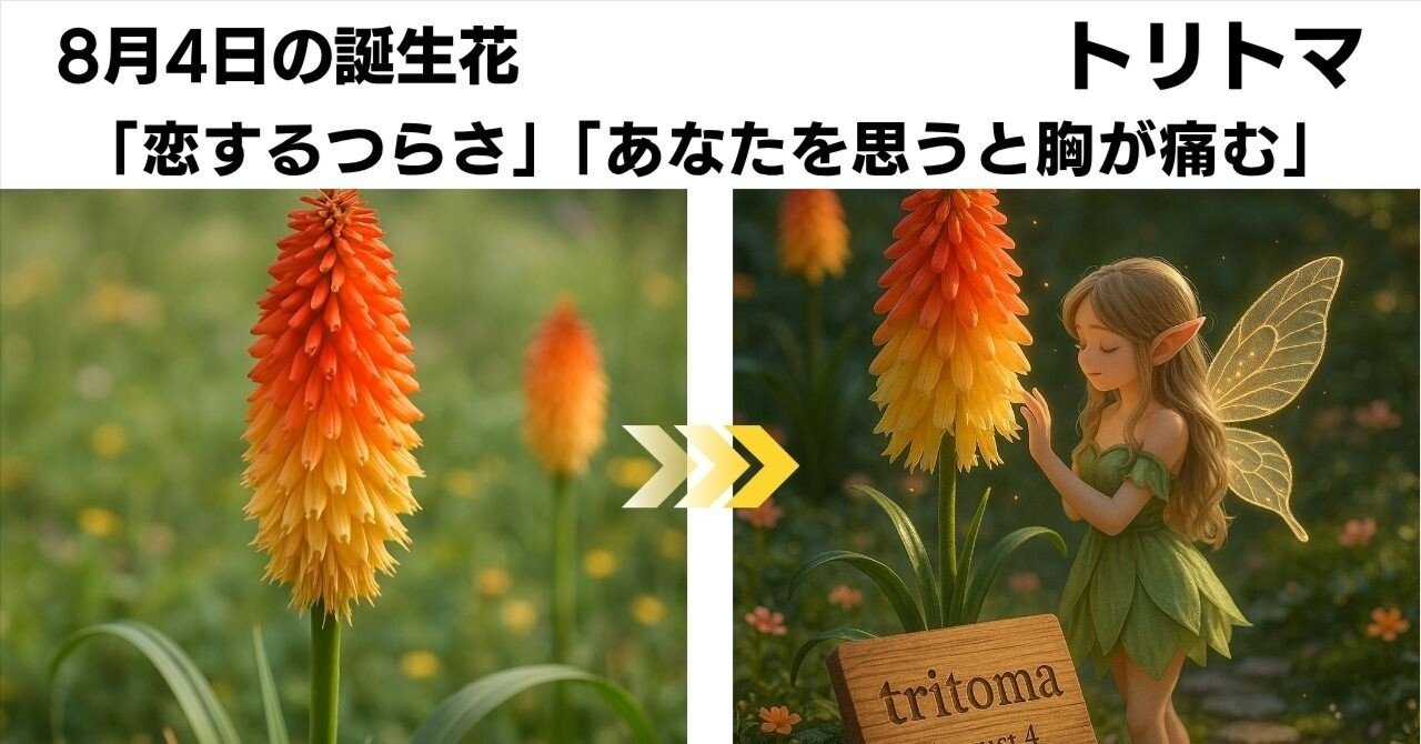 8月4日生まれのあなたへ：花言葉が紡ぐトリトマの物語｜るっち｜AI x