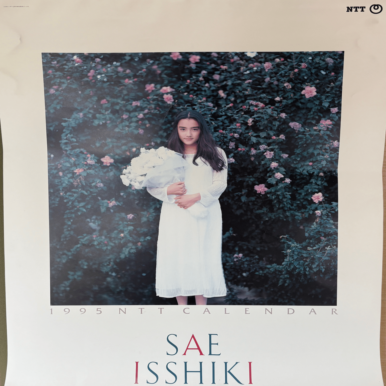 一色紗英が時を止めた──NTTのカレンダーと僕の1995年｜【楽楽好奇心