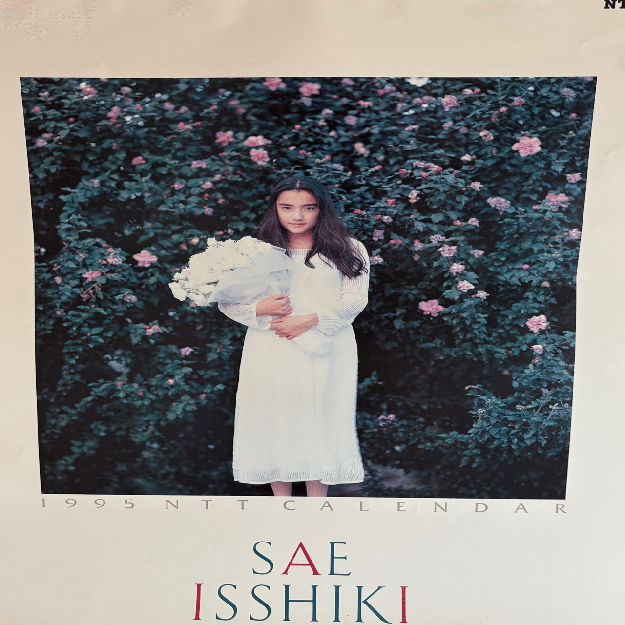 一色紗英が時を止めた──NTTのカレンダーと僕の1995年｜【楽楽好奇心