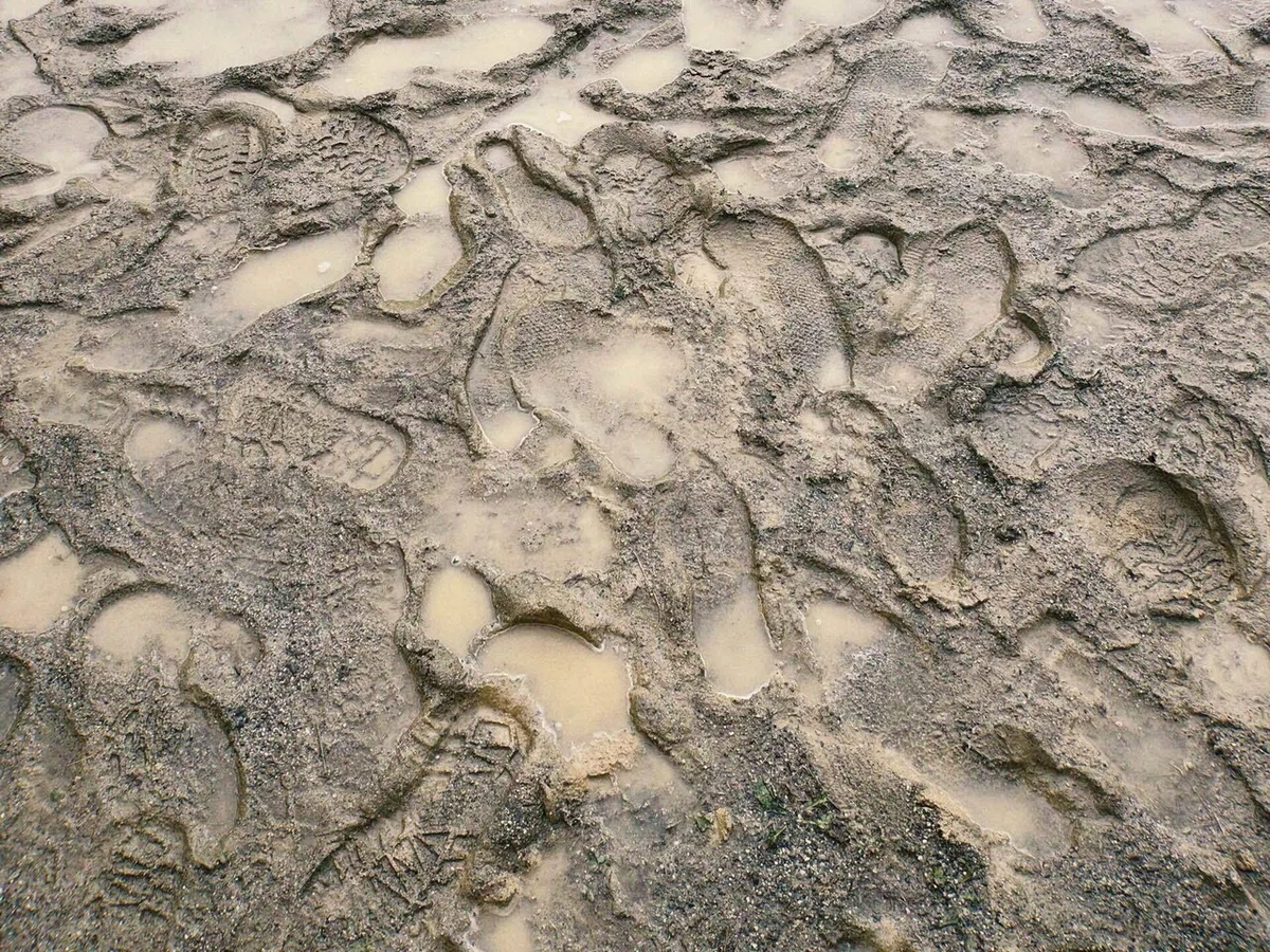 土砂降り後の地面の写真
