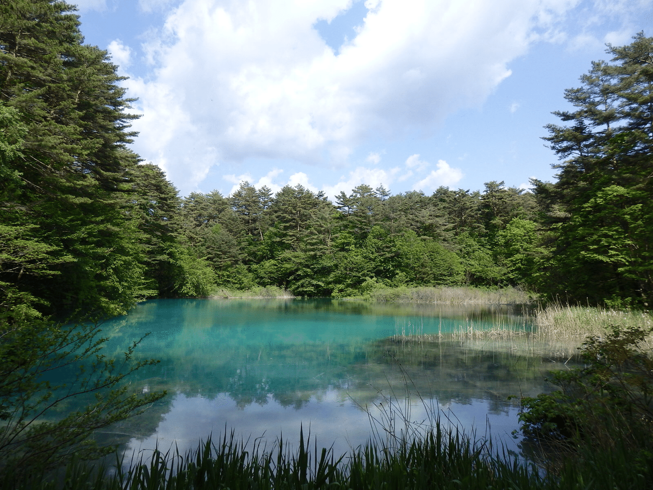 青い水があればそれは絶景 やまざき にんふぇあ Note