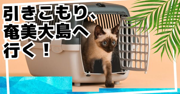 サニアラズ ep 山田亮一 ゆれる あみ 山田亮一 on X: 