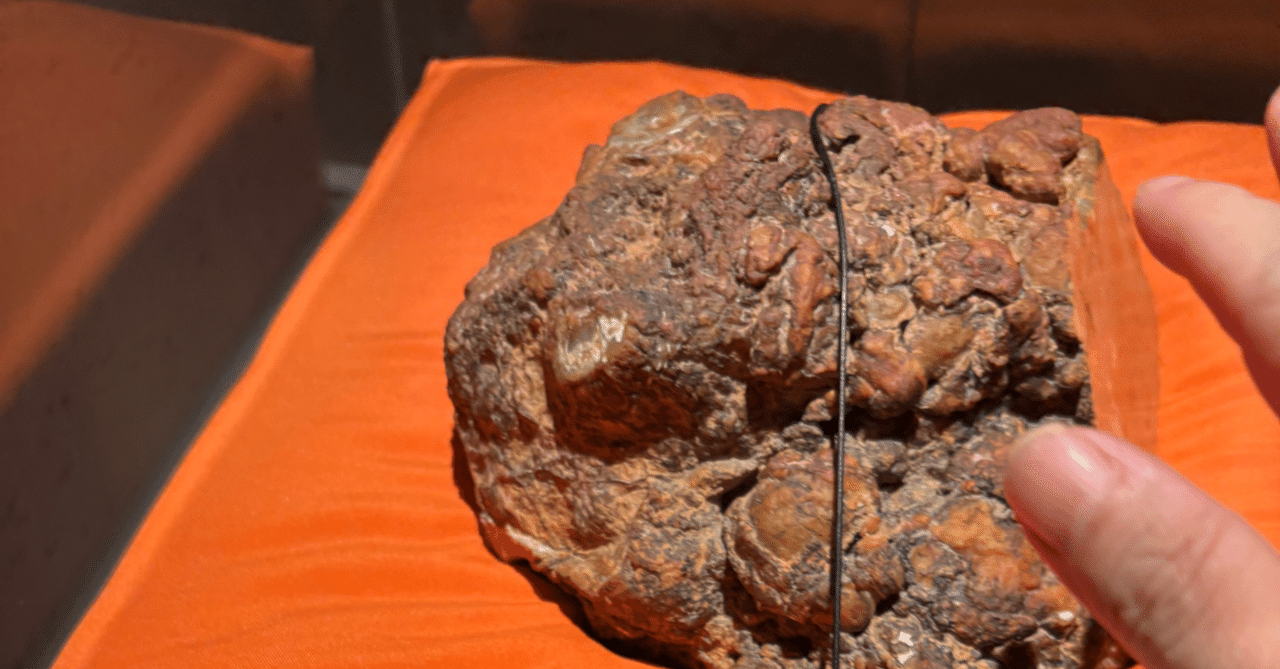万博2025体験記 #6】恐竜のう⚫️ちの化石をさわった。もう臭く