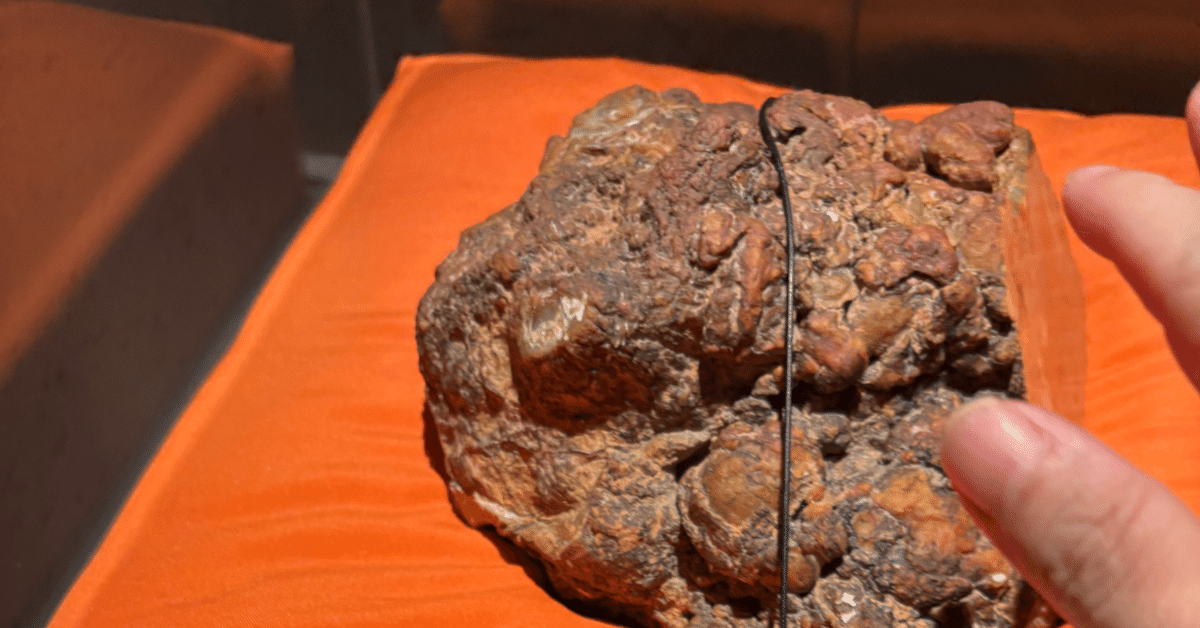 南極の石 特大サイズ 蜂の巣風化 本物です 南極の石 特大サイズ 蜂の巣風化 本物です 64年前に昭和基地近く