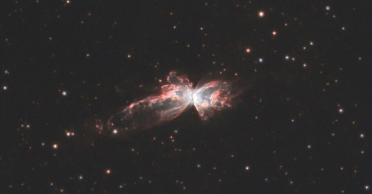 NGC 6302 - バタフライ星雲【更新】｜Joe