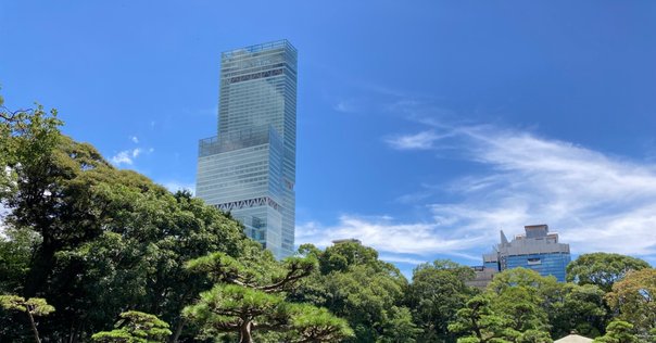 MBAリーダーシップ Amazon.co.jp: 【新版】グロービスMBAリーダーシップ eBook
