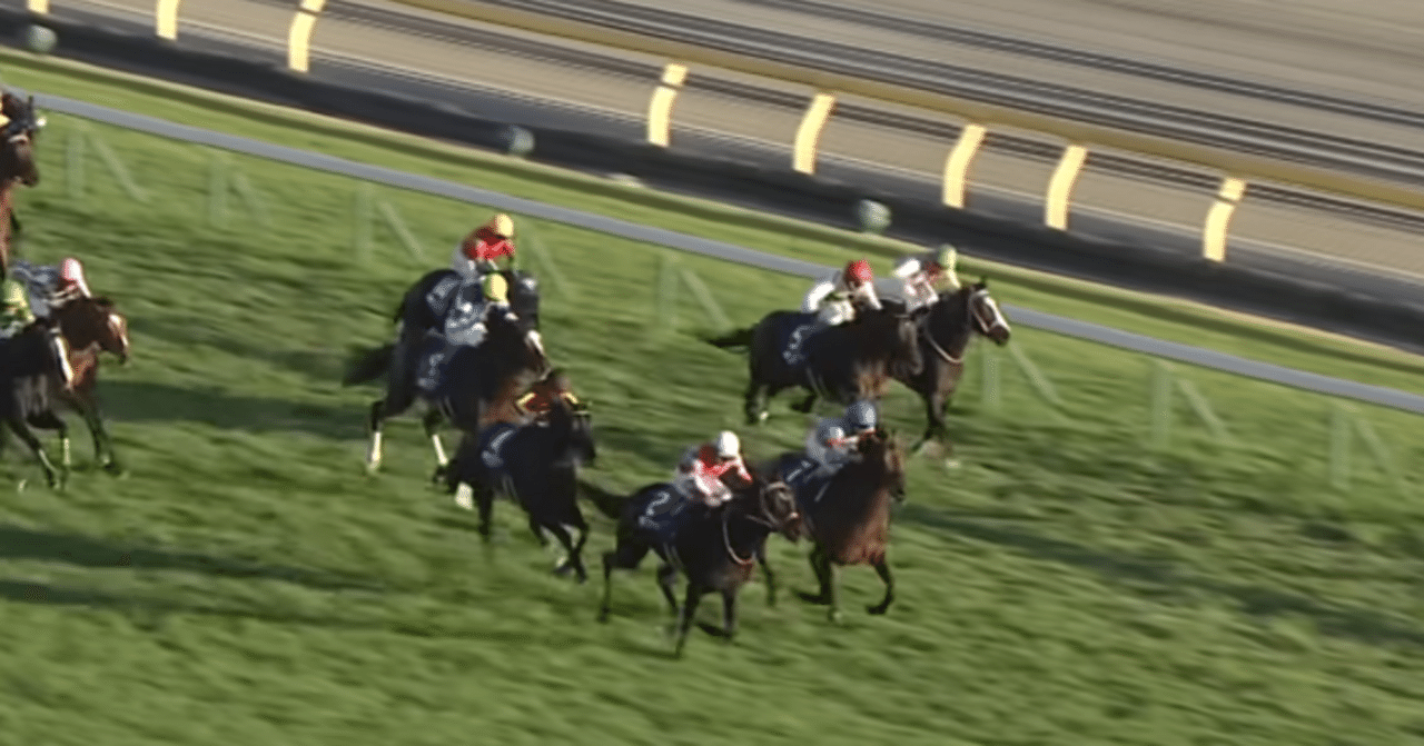 ドバイSC出走馬のジャパンカップ成績 (2025年2着カランダガン