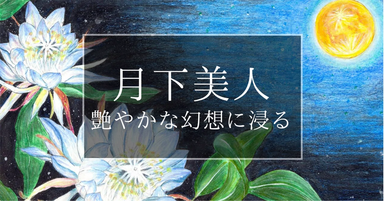 一夜限りの月下美人🌙 刹那に想いを重ねる✨創作日記｜Maromi_創作日記