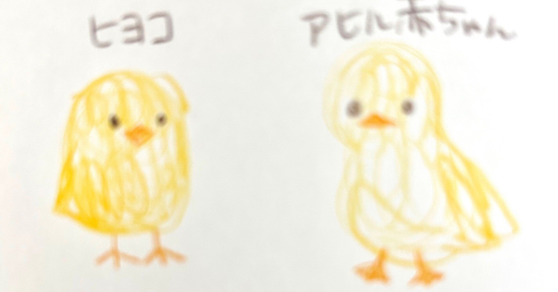 作家様　ヒヨコ　アヒル ひよこくわぴー🐣🥚 他の投稿はこちら🌼 ▶︎ @punyon_nyon