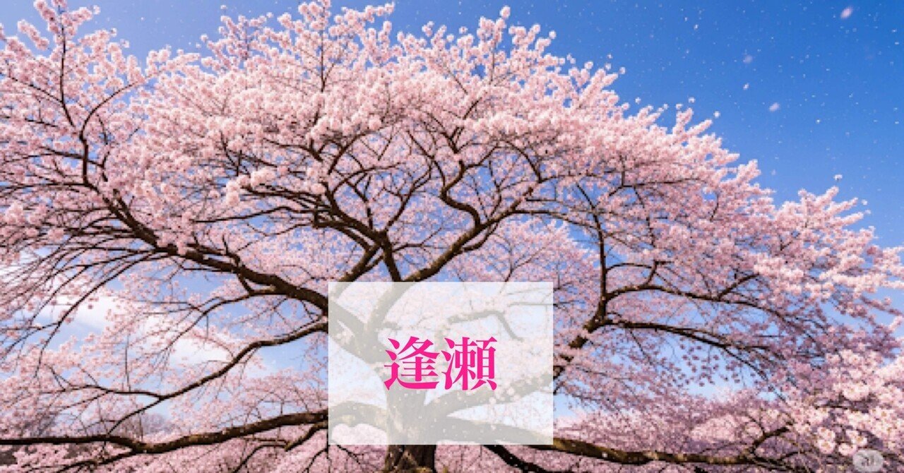 桜吹雪 上村松園 朝顔 第二回 娘深雪運命に翻弄されながらも折れない、しなやかな強さ