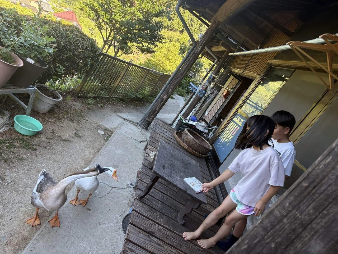 夏、子どもと徳島ワーケーションで過ごした最高の日々｜田中 伶