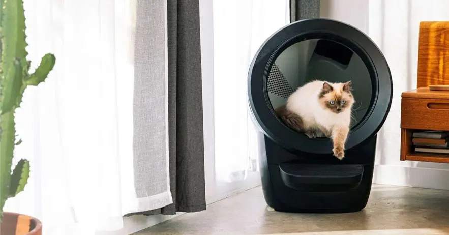 最新トレンド】猫の自動トイレが革命的すぎた件｜レビュー＆比較 