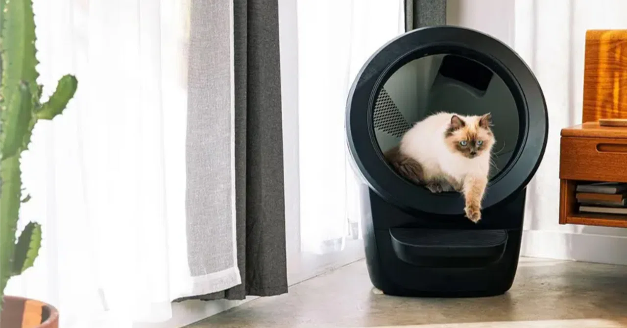 最新トレンド】猫の自動トイレが革命的すぎた件｜レビュー＆比較 