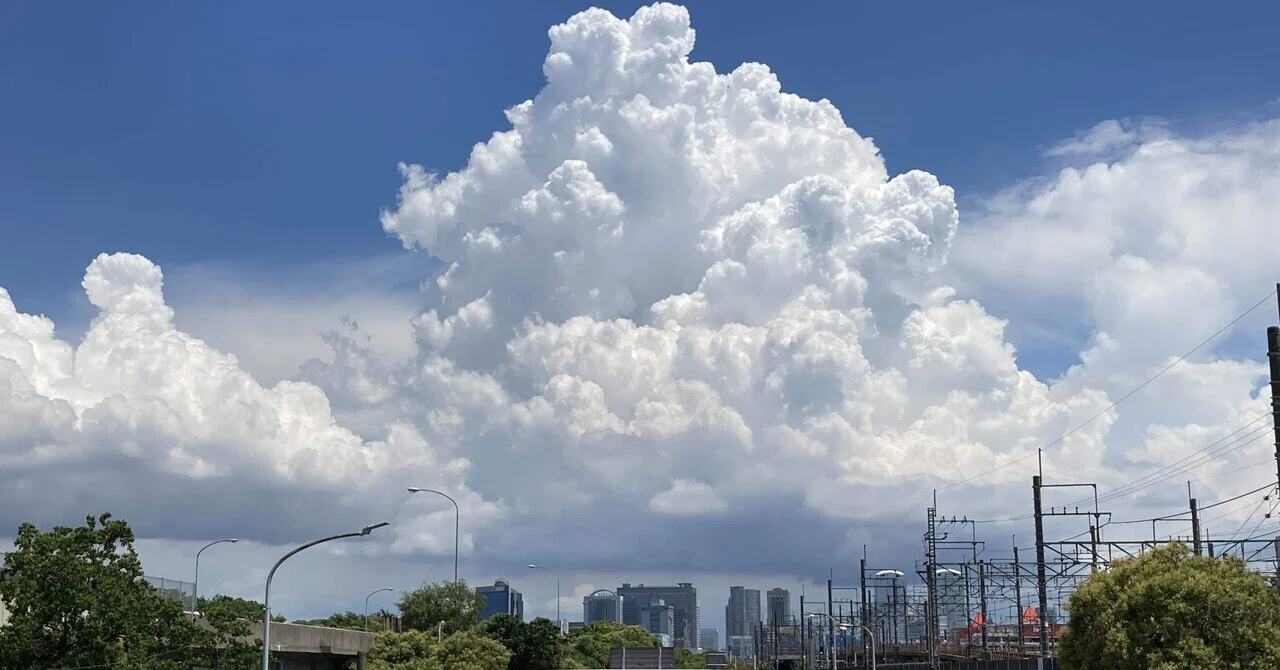 新しい写真をアップしましたので、そちらからご確認ください！！ 空の写真集 その3【2025年7月】｜ねこゆう