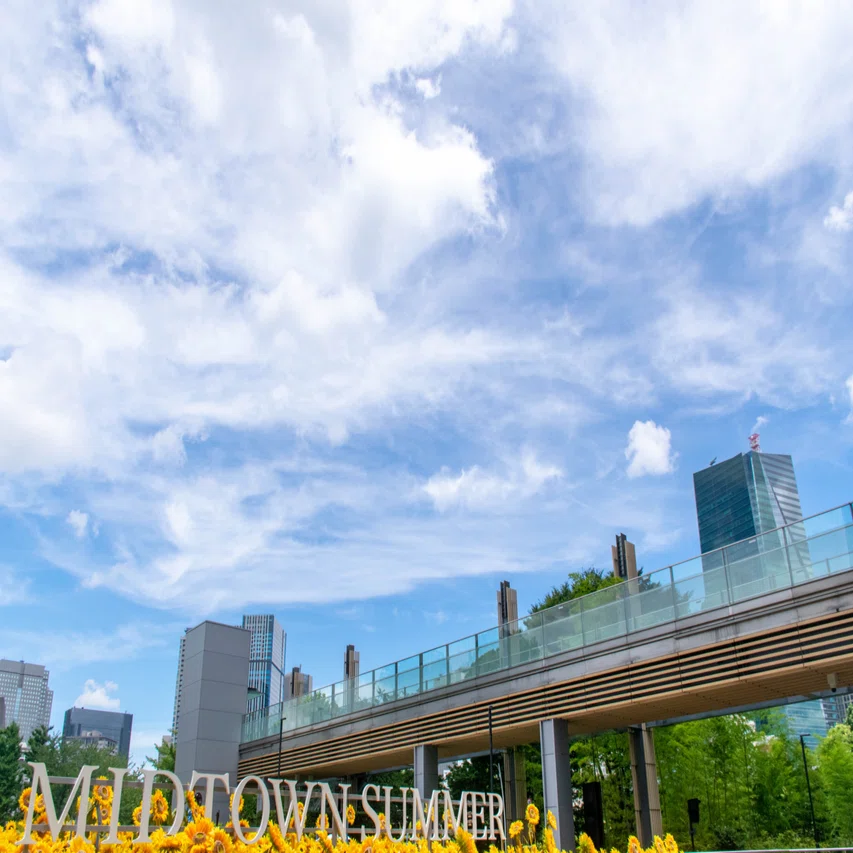 新しい写真をアップしましたので、そちらからご確認ください！！ 空の写真集 その3【2025年7月】｜ねこゆう