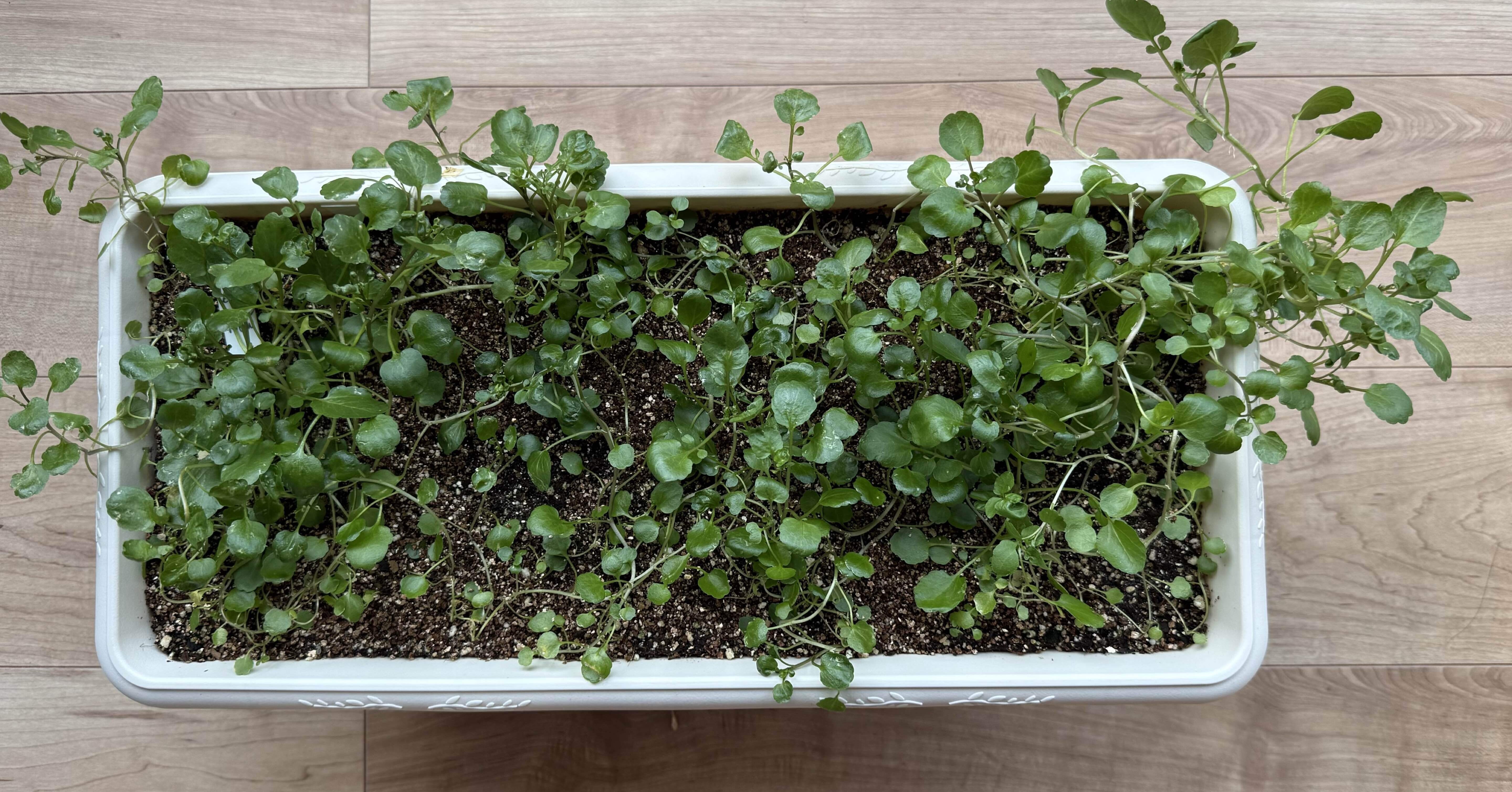 fb31bc8c12bc82a2a102ef97b6f437