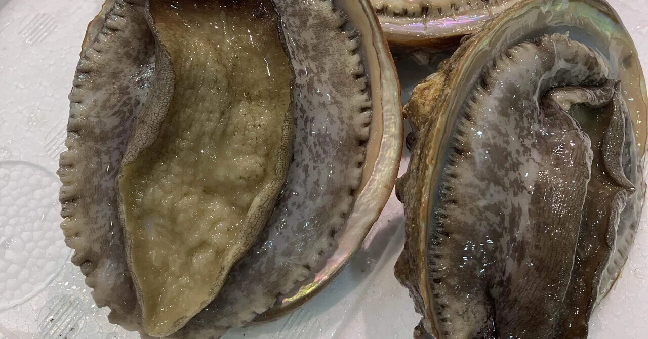8/5 (Tue) Today's Recommendation: [Tokushima Prefecture 'Megai Abalone ...