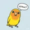 スミレコンゴウインコ