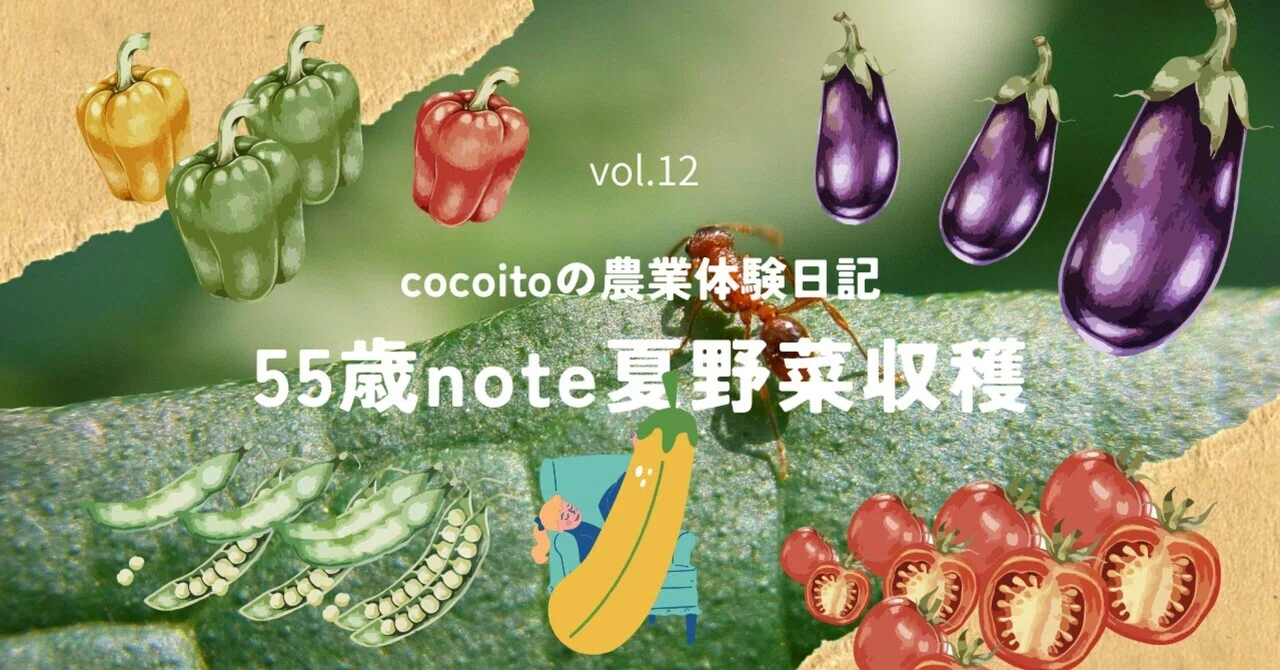 「美味しい」って、こういうことかも。野菜の力に驚いた日。55歳の畑リトリート！｜cocoito
