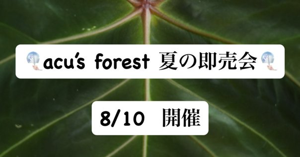 須賀京介率いる「Am Amp」にDr. 宮城紘大、Ba. 矢沢もとはる、Gt