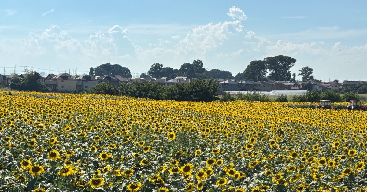🌻ひまわり🌻大好き💕｜フルムーン