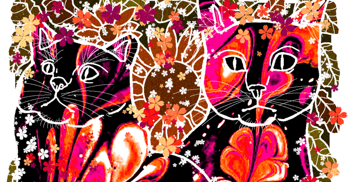 二匹の猫と万華の宙 猫作品解説｜shiromiya_hoku
