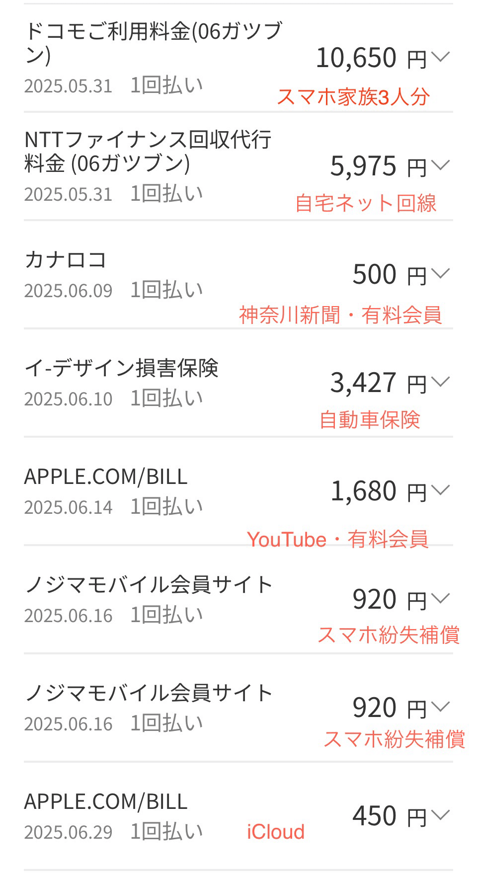 断捨離その2〜そうだノジマに相談しよう｜SuzukenSambar