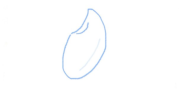RASUKARU　25キロを精米 精米について