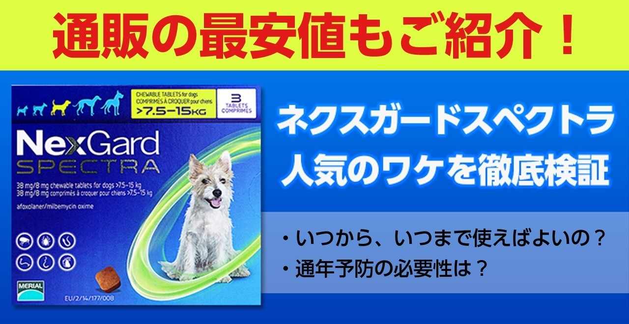 ネクスガードスペクトラ の新着タグ記事一覧 Note つくる つながる とどける